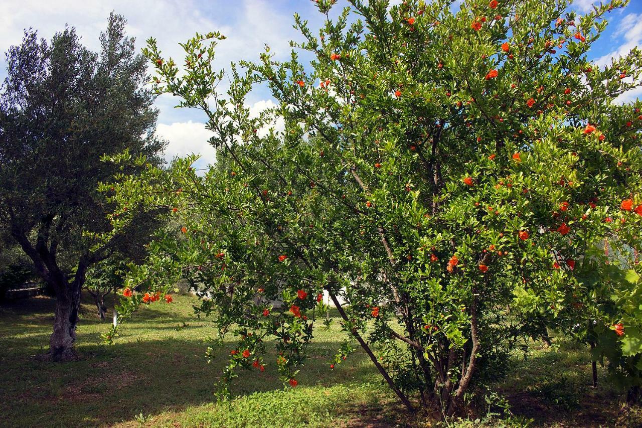 Pomegranate Tree House - Meteora Kalambaka Exterior foto