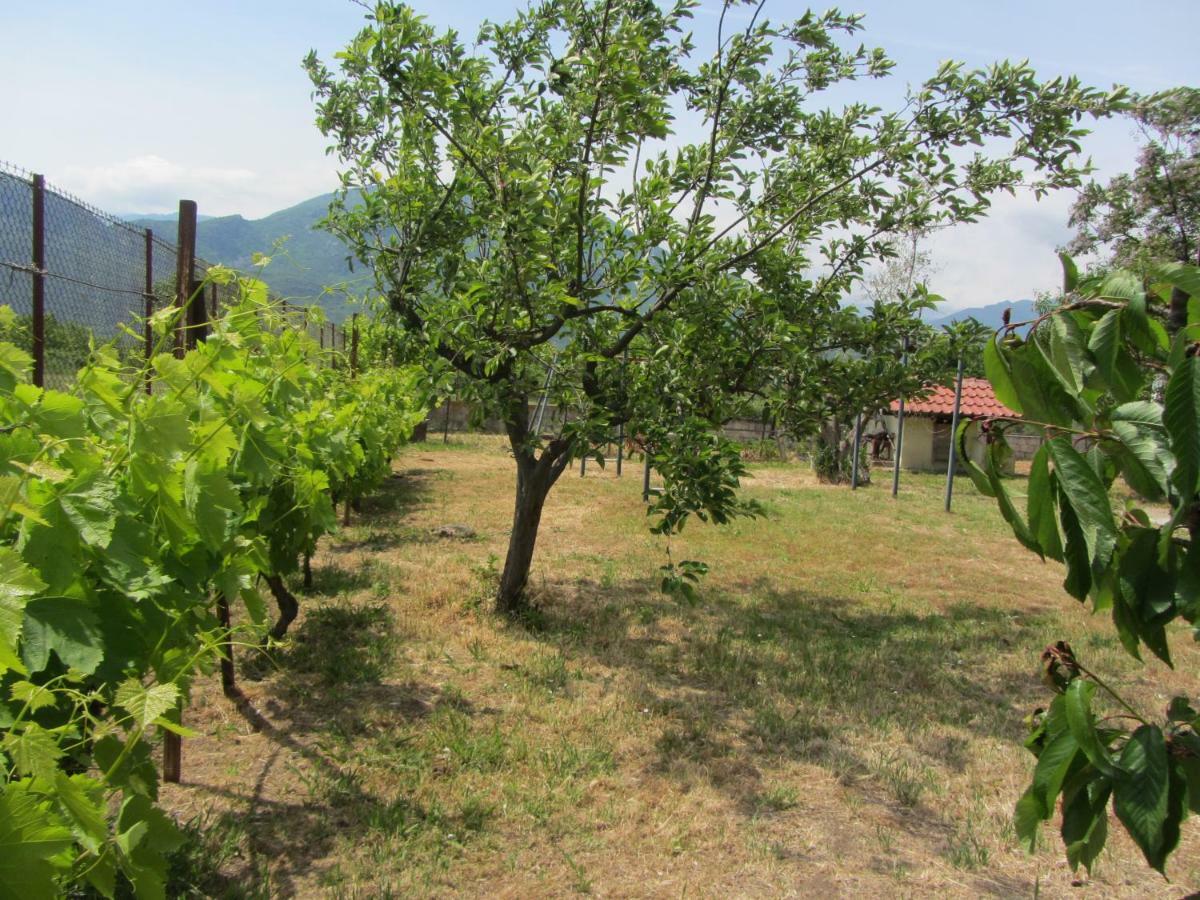 Pomegranate Tree House - Meteora Kalambaka Exterior foto